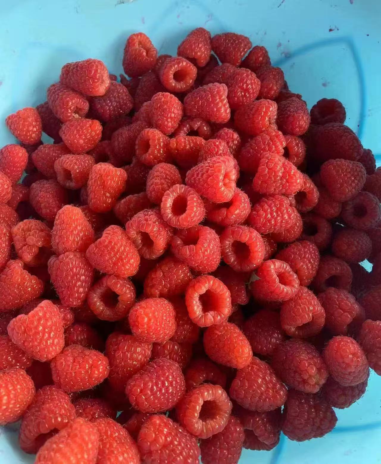 frozen raspberries