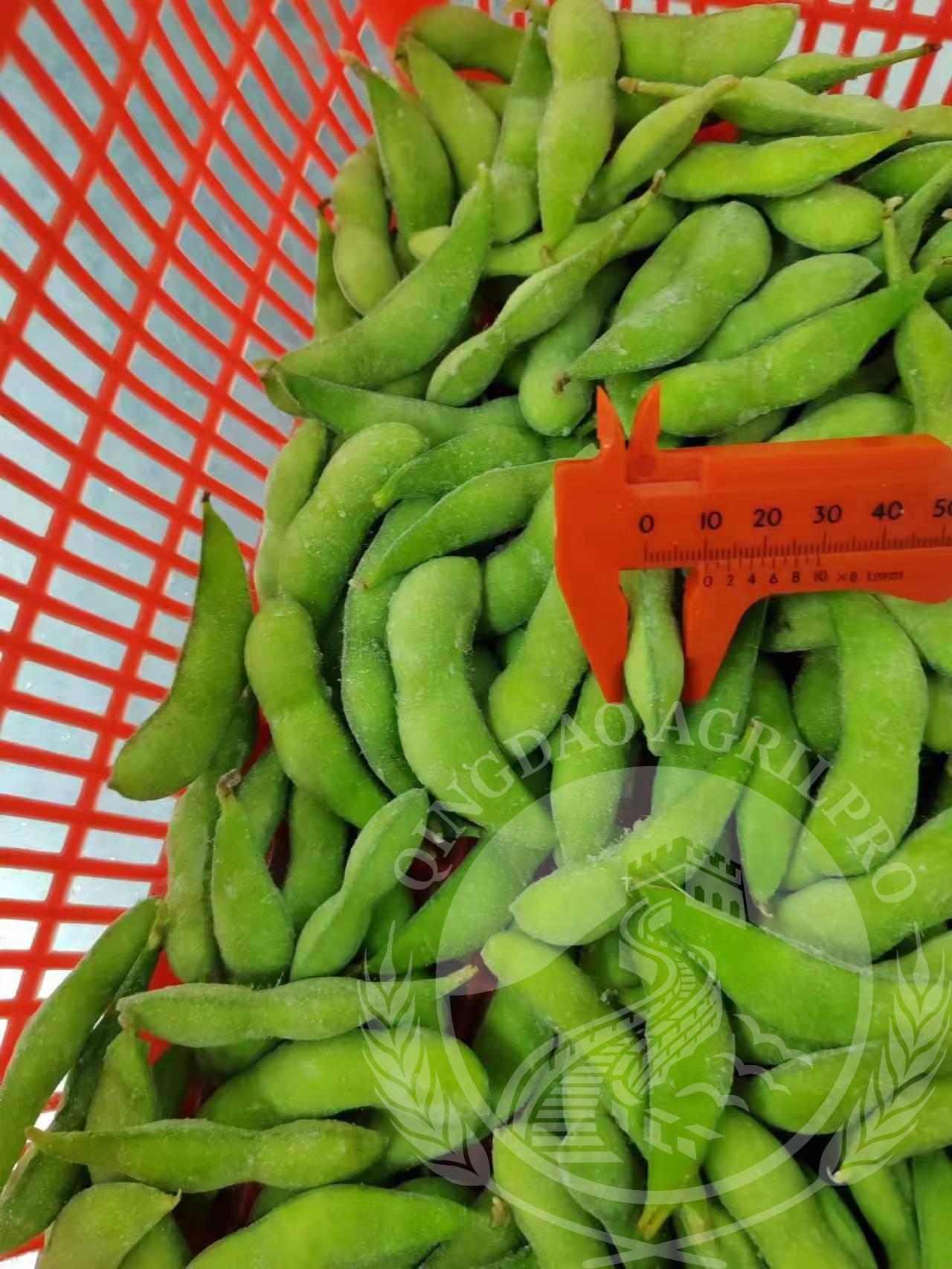 IQF Edamame