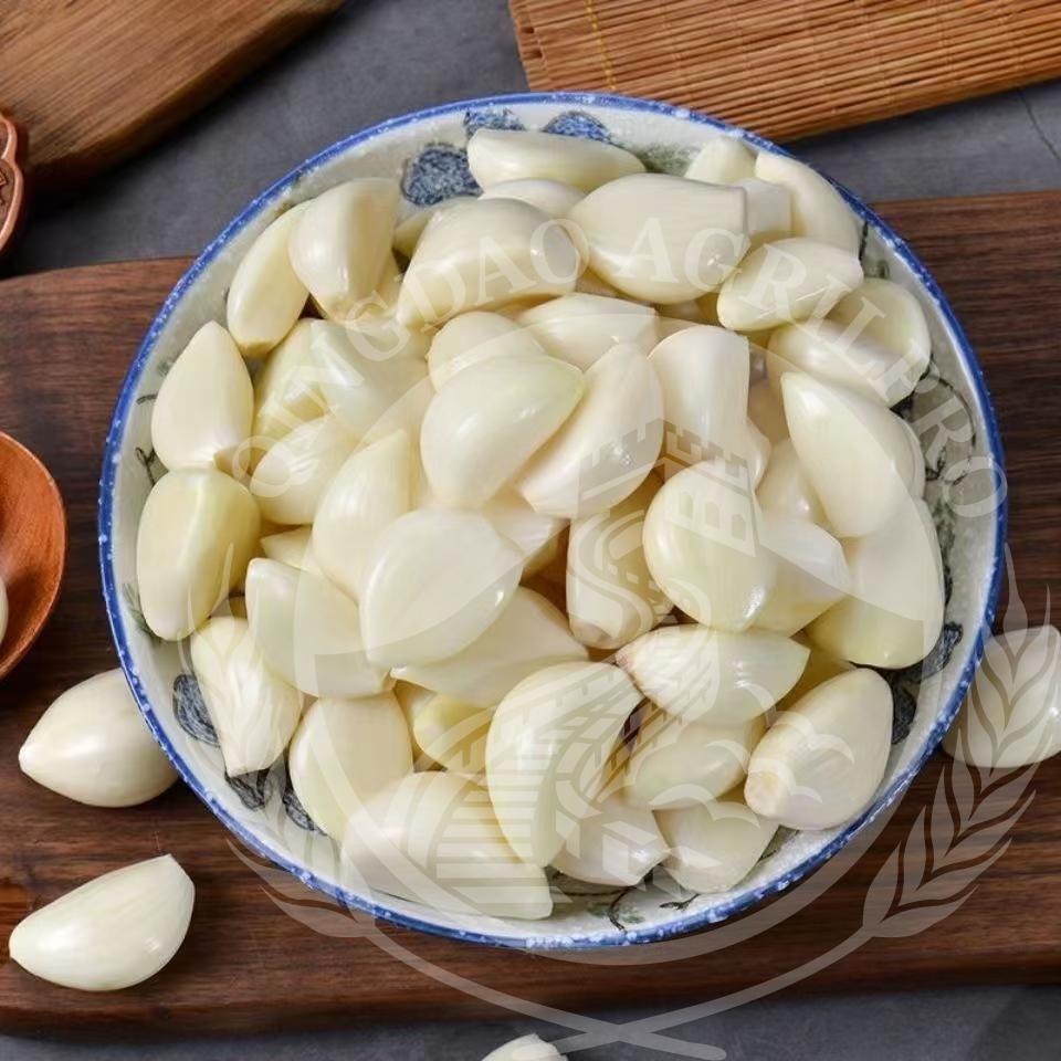 garlic