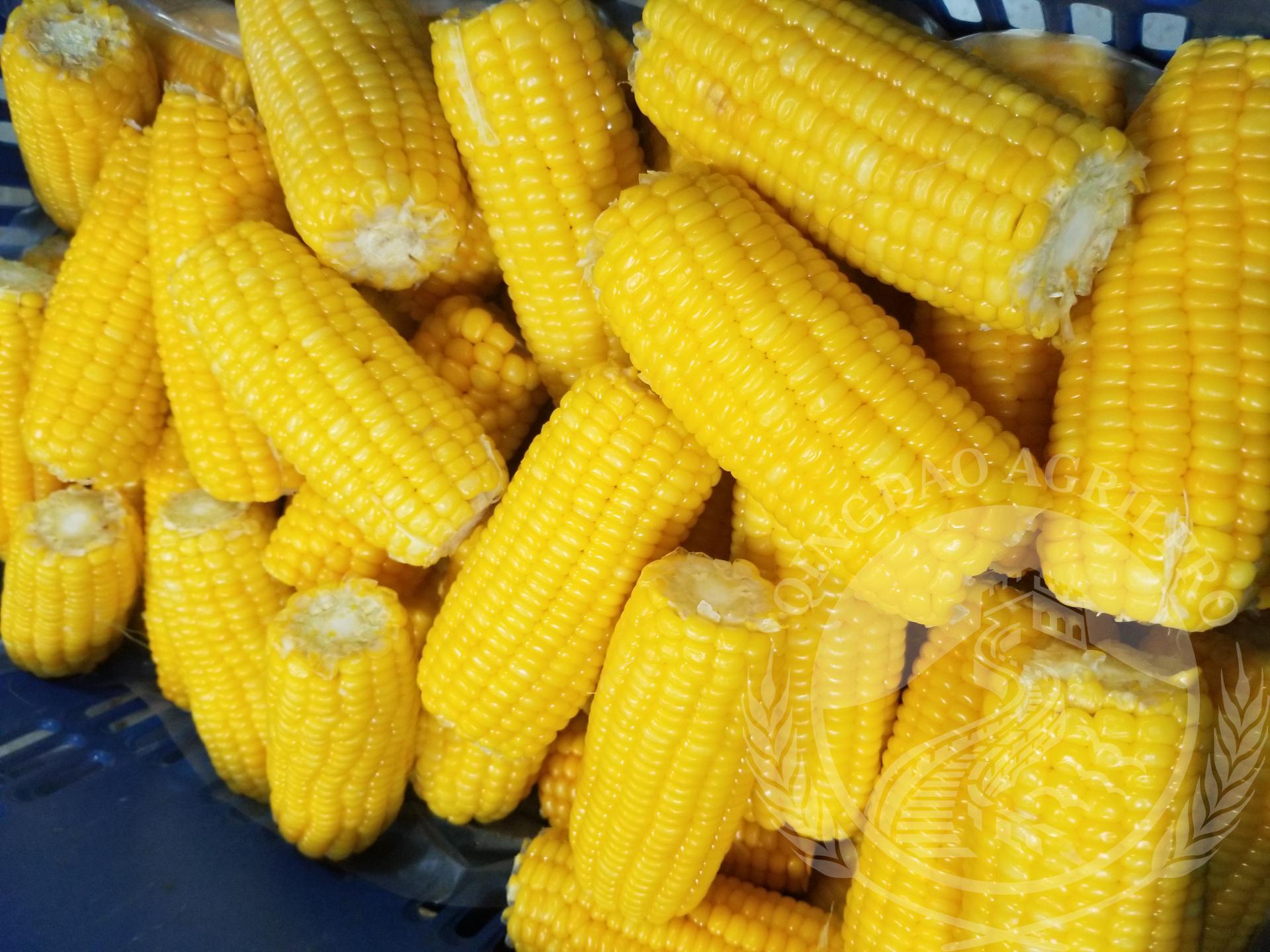 corn