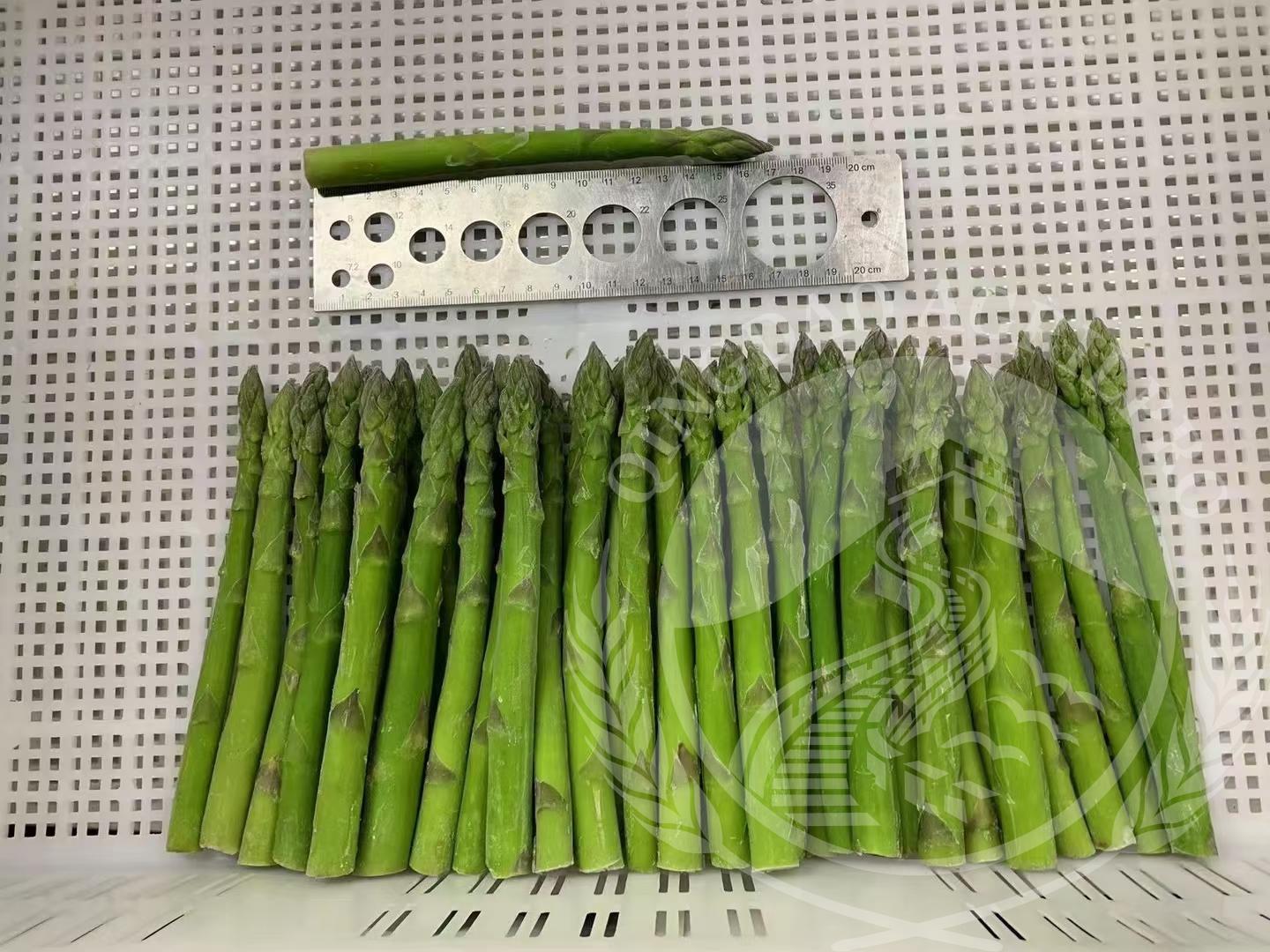 frozen green asparagus spear